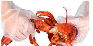 Analyzing Quality Control: Why CHONGJEN Is a Leading Chinese Manufacturer of Safe PE Gloves