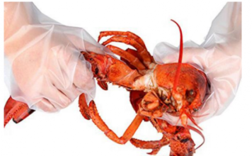 Analyzing Quality Control: Why CHONGJEN Is a Leading Chinese Manufacturer of Safe PE Gloves