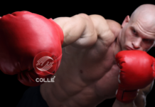 Colle AI Expands Multichain NFT Deployment Infrastructure