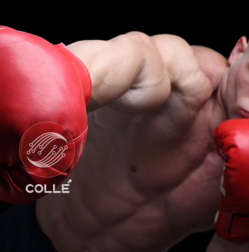 Colle AI Expands Multichain NFT Deployment Infrastructure