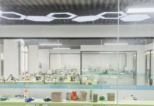 Sunflower Dental Lab: China Leading Dental Lab For Outsourcing Services