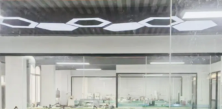 Sunflower Dental Lab: China Leading Dental Lab For Outsourcing Services