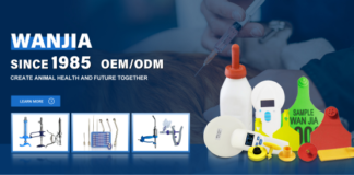 Wanjia: Global Leading Veterinary Syringes Manufacturer of Livestock Productivity through Innovation and Precision