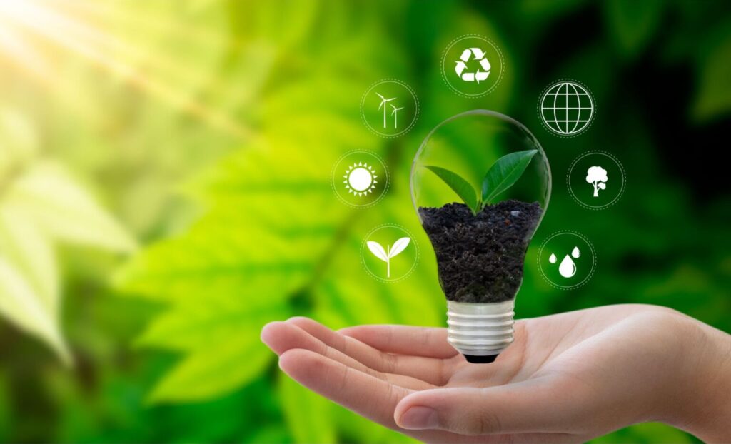 Discover the Simple Steps to Protect the Environment