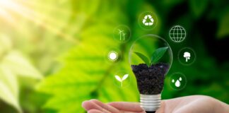 Discover the Simple Steps to Protect the Environment Discover the Simple Steps to Protect the Environment