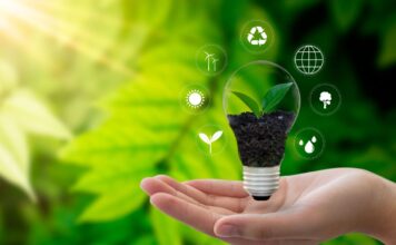 Discover the Simple Steps to Protect the Environment