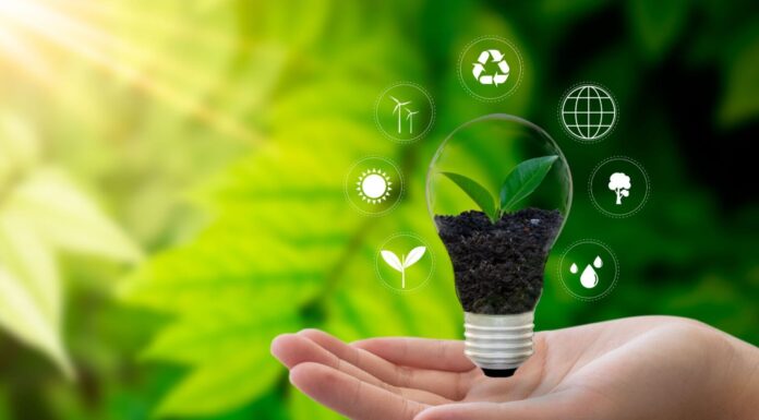 Discover the Simple Steps to Protect the Environment