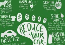 Effective Steps to Protect the Environment in a Hassle-Free Way