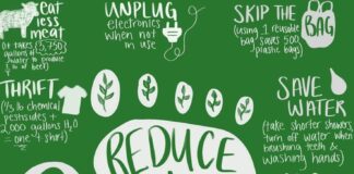 Effective Steps to Protect the Environment in a Hassle-Free Way Effective Steps to Protect the Environment in a Hassle-Free Way