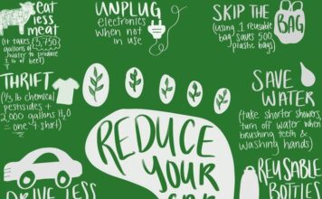 Effective Steps to Protect the Environment in a Hassle-Free Way