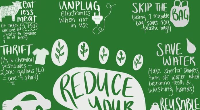 Effective Steps to Protect the Environment in a Hassle-Free Way