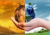 Discover the Major Effects of Global Warming