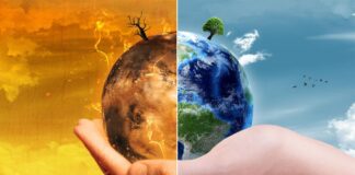 Discover the Major Effects of Global Warming