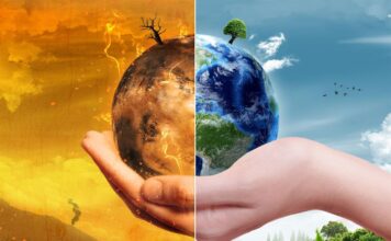 Discover the Major Effects of Global Warming