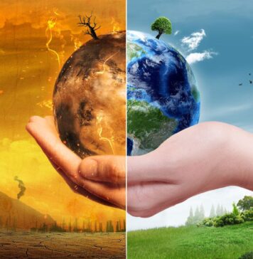 Discover the Major Effects of Global Warming