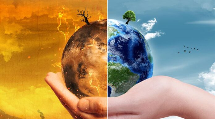 Discover the Major Effects of Global Warming